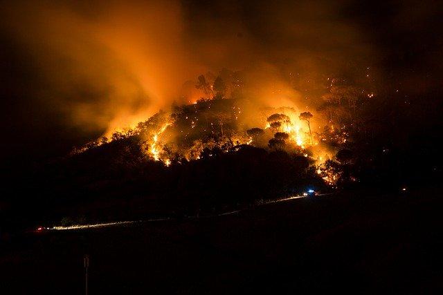 image of wildfire
